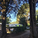 Our little lane. You can see the trailer over the hedge and our green caravan.