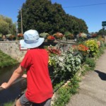 Beautiful flowers in Pontivy