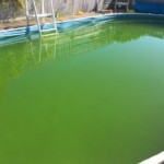 Pool at its worst, boys not getting in anymore.